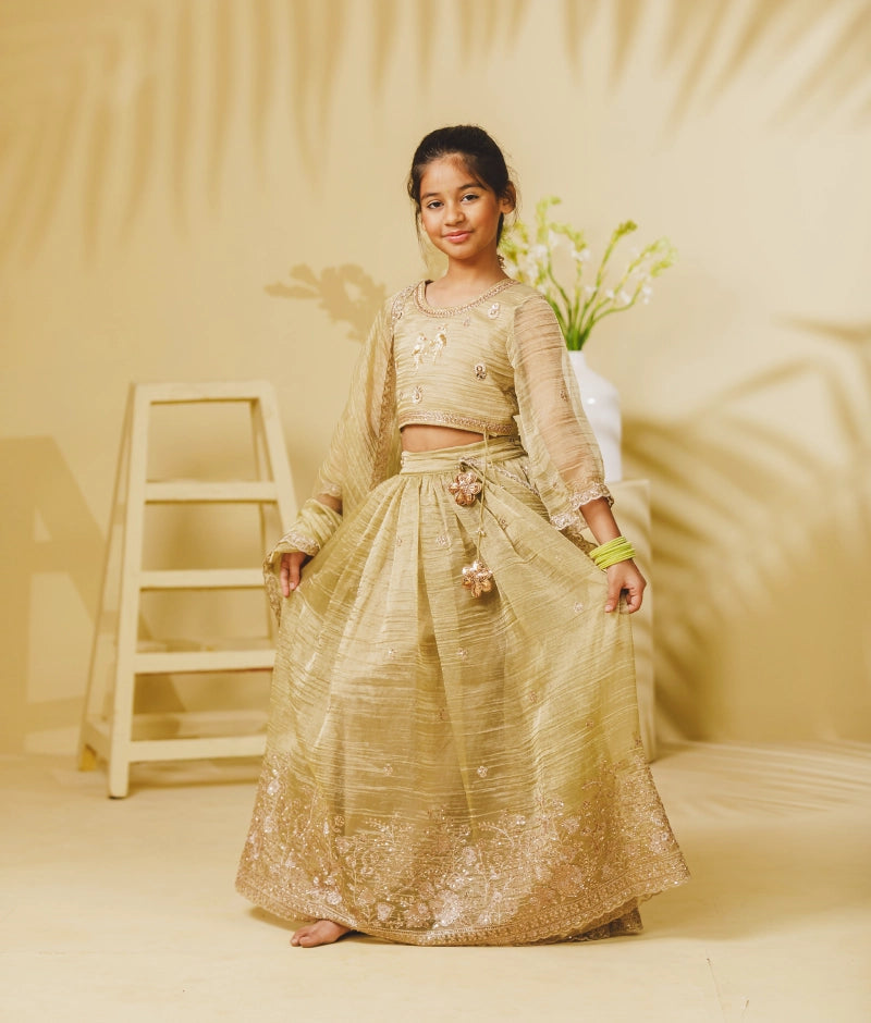 Pista Green Embroidery Lehenga Choli Set