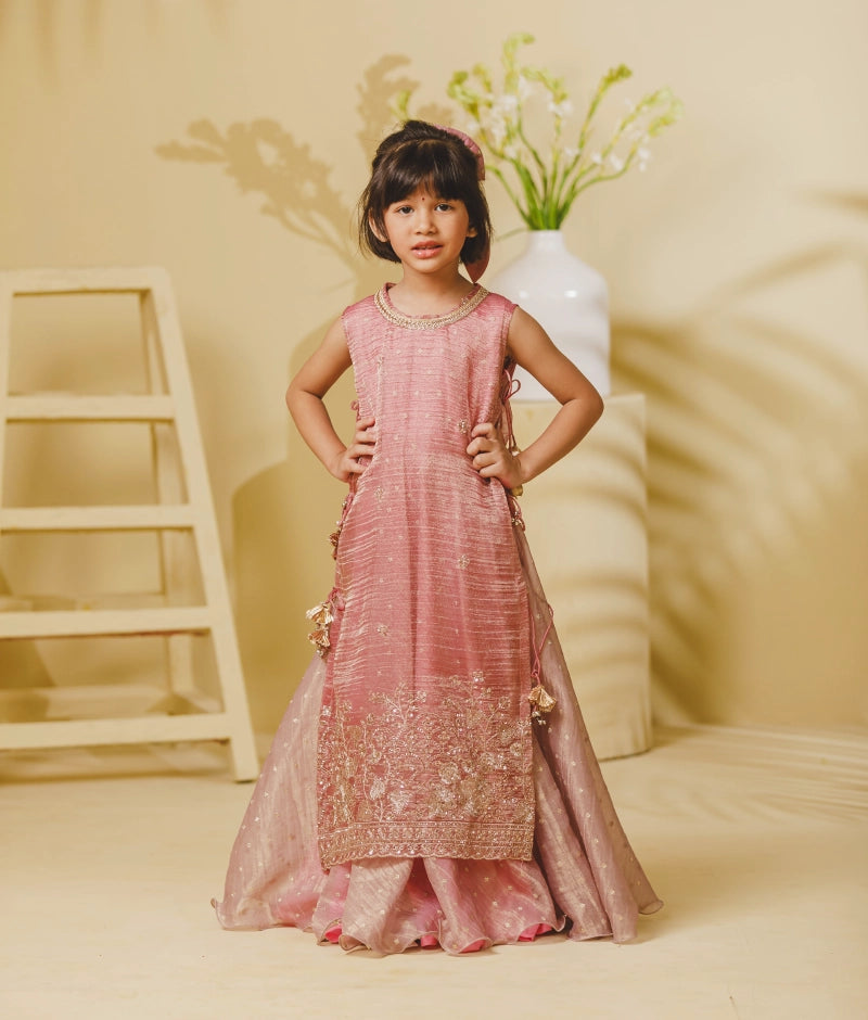 Pink Tissue Organza One Piece Anarkali with Ponchu