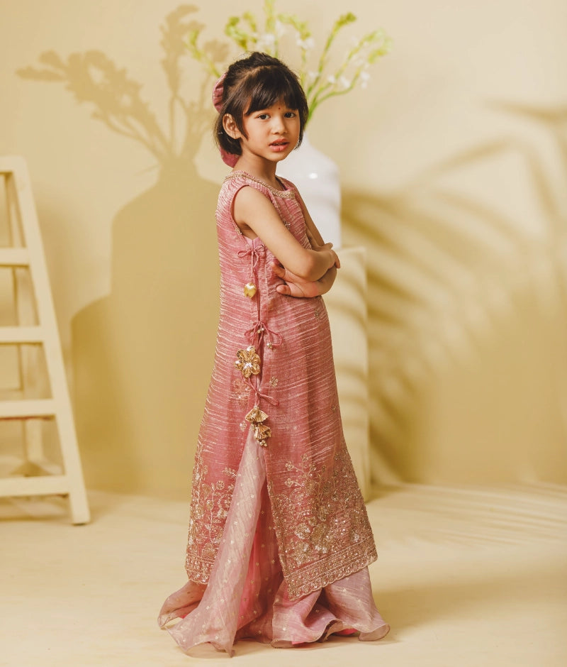 Pink Tissue Organza One Piece Anarkali with Ponchu