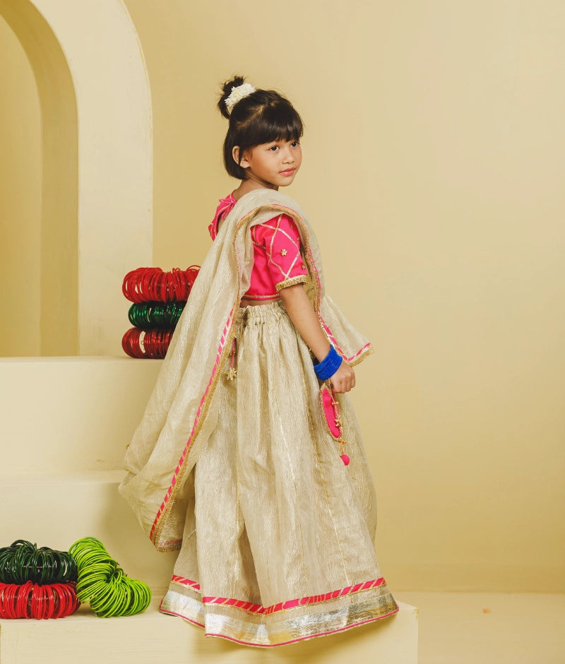 Pink Aangi Choli with Lehenga Set