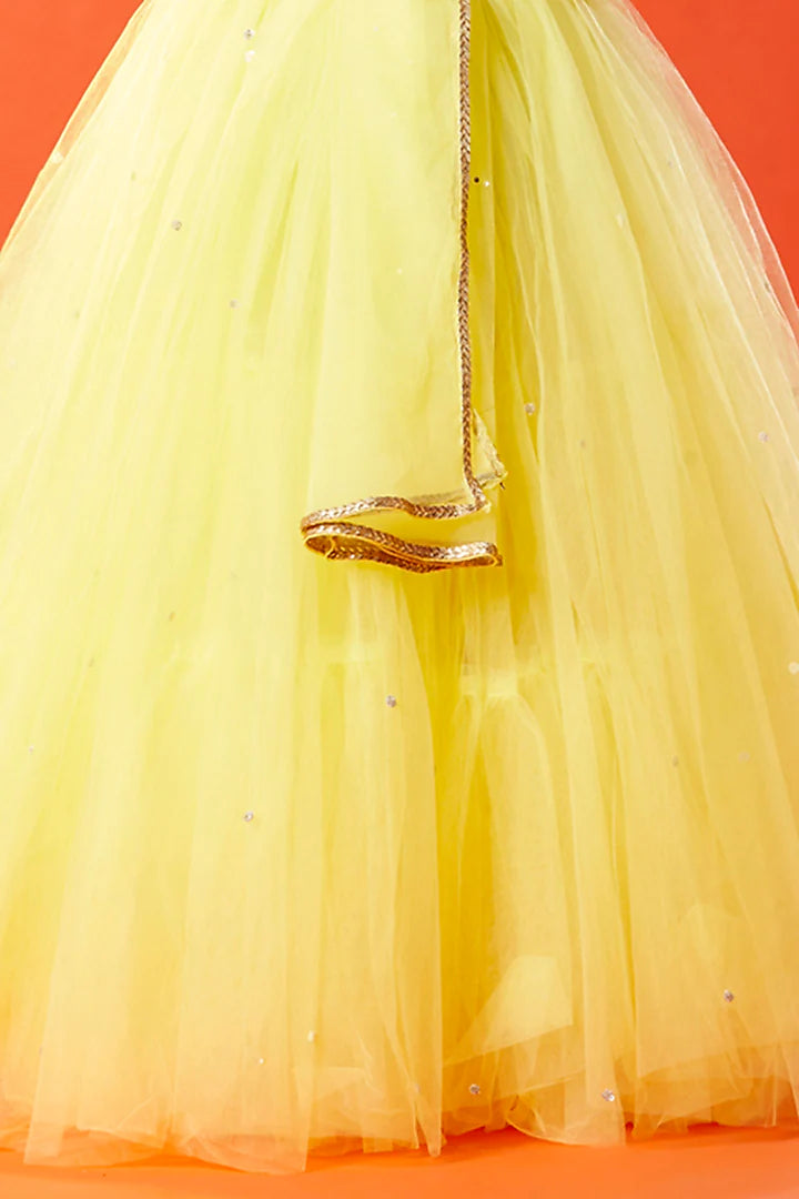 Lemon Yellow Tulle Hand Embroidered Lehenga Set