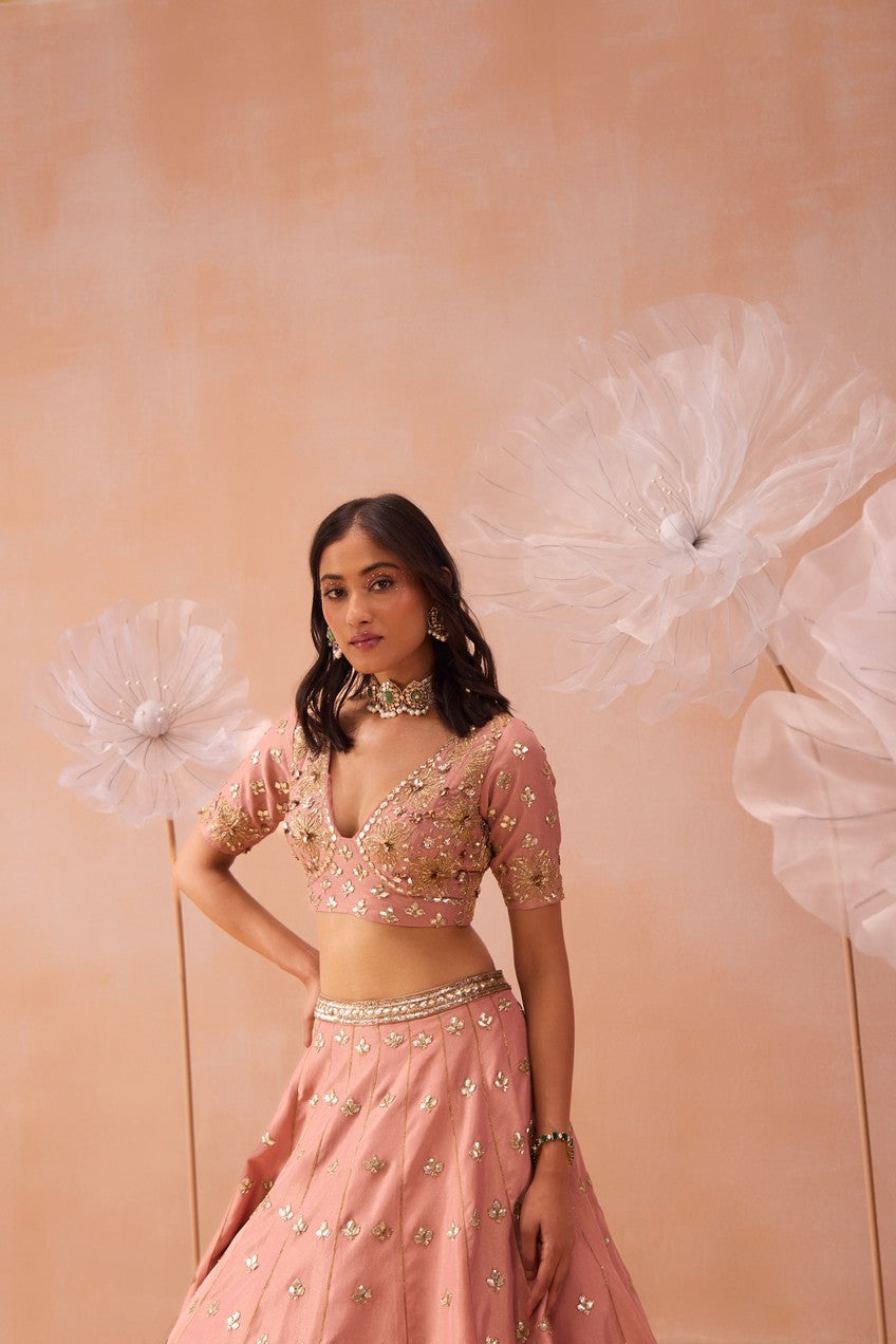 Blush Lehenga Set