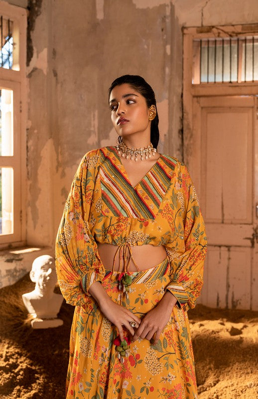 A embroidered crop top with skirt