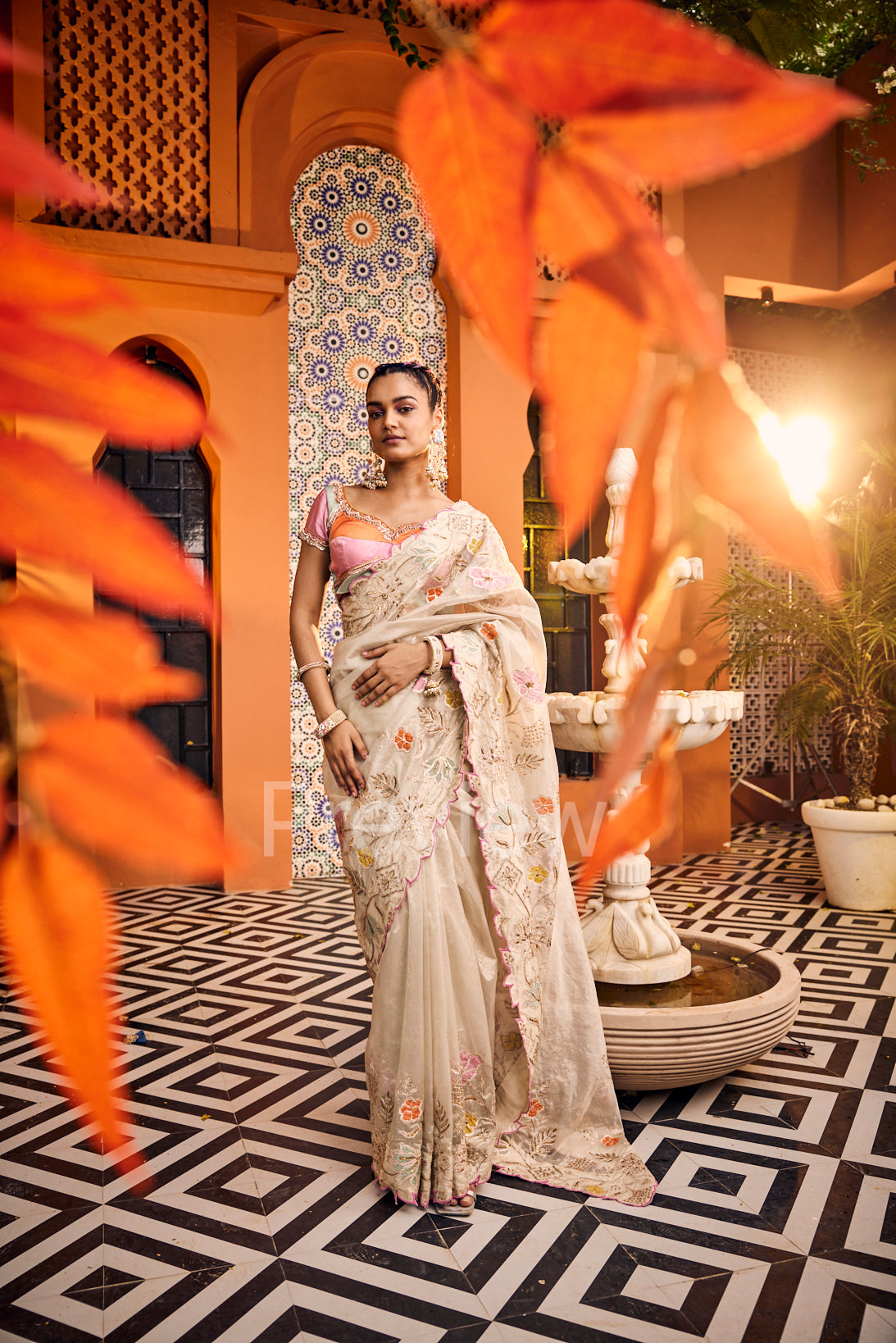 Ivory Tissue Embroidered Saree