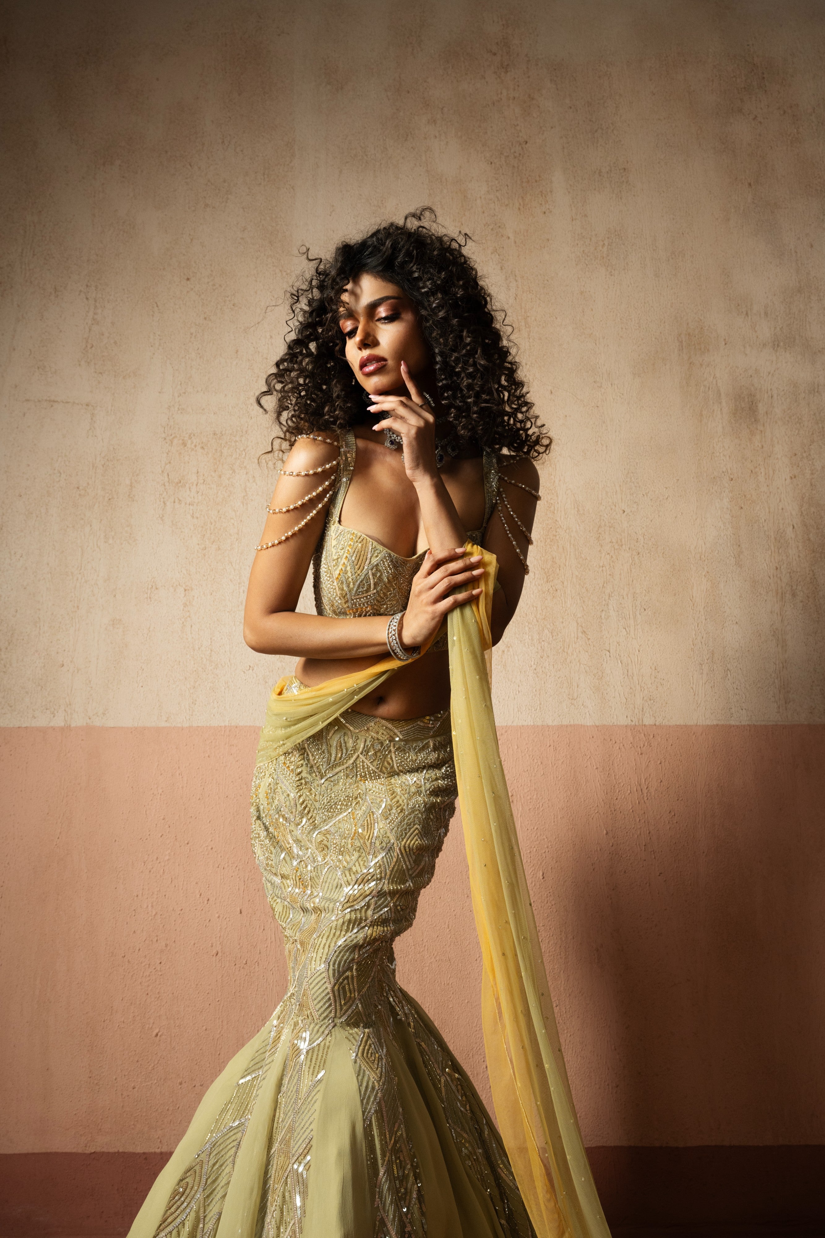 Fishtail style , sage green & pastel yellow hand embroidered , net &georgette fishtail saree, concept saree