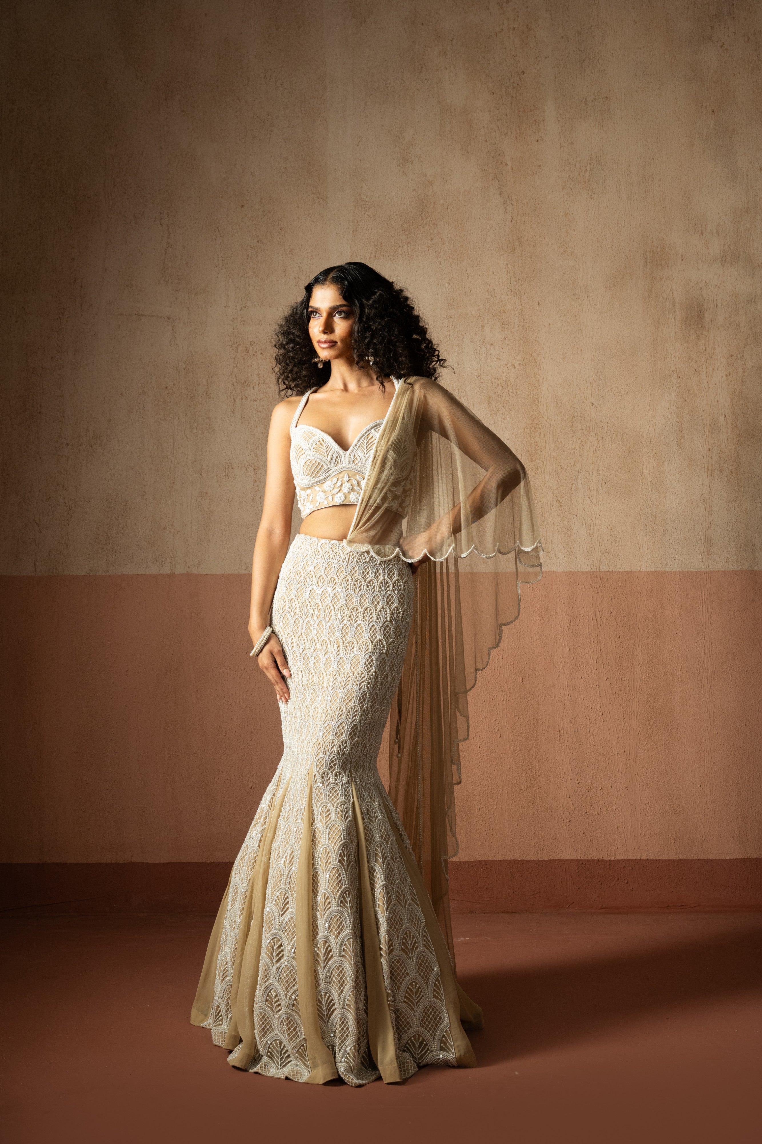 Fishtail style , beige & ivory hand embroidered , net &georgette fishtail saree, concept saree
