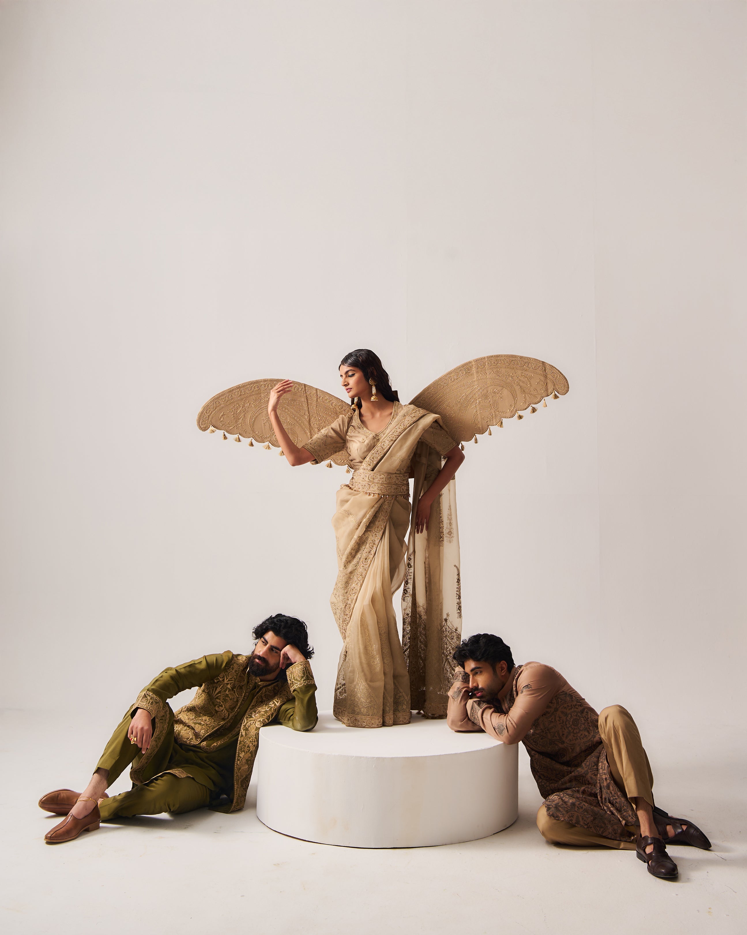 Saree with Stitched Blouse and Belt / Organza Silk / Dark Beige / Paisley Dome / Aari/Hand Embroidery