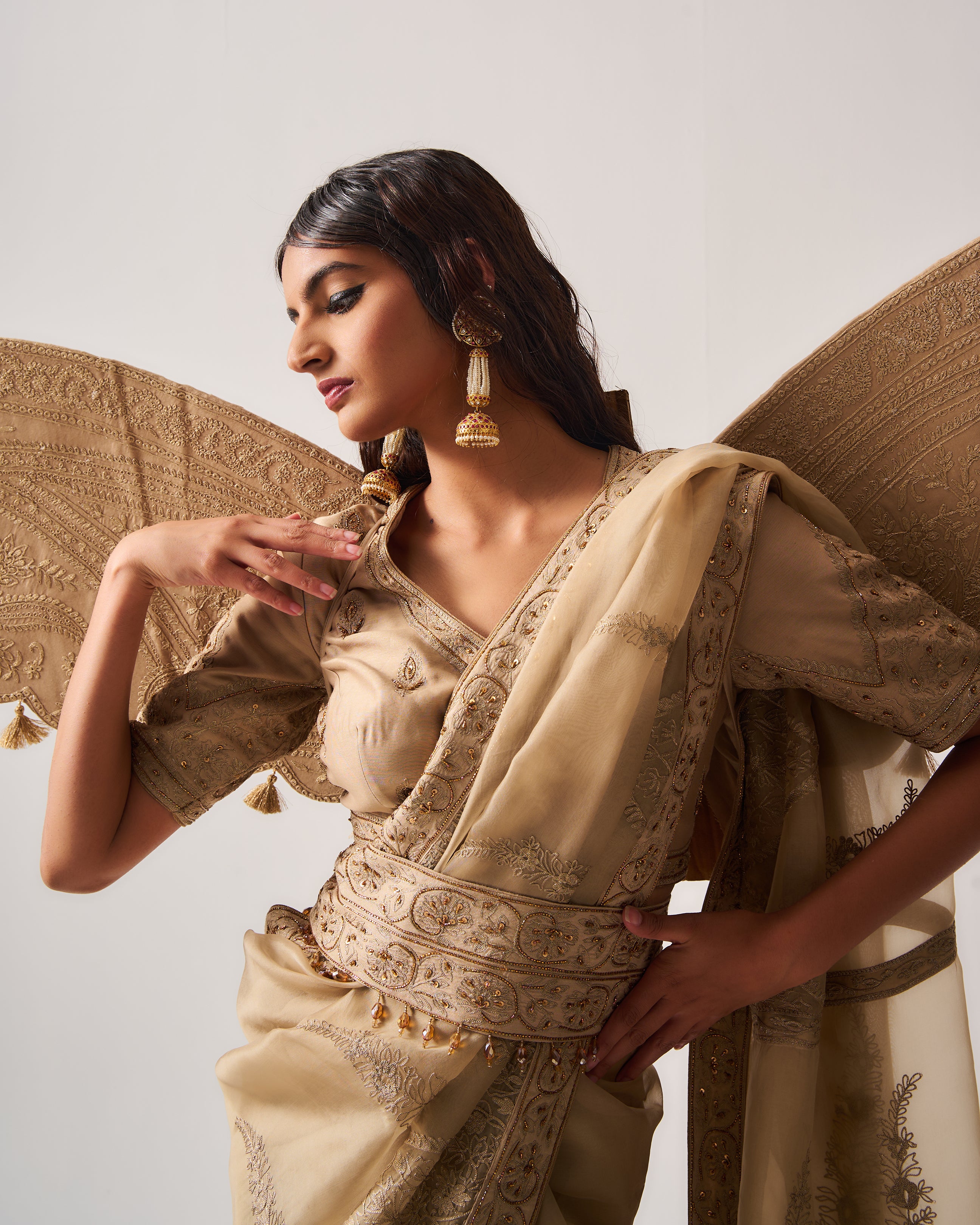 Saree with Stitched Blouse and Belt / Organza Silk / Dark Beige / Paisley Dome / Aari/Hand Embroidery