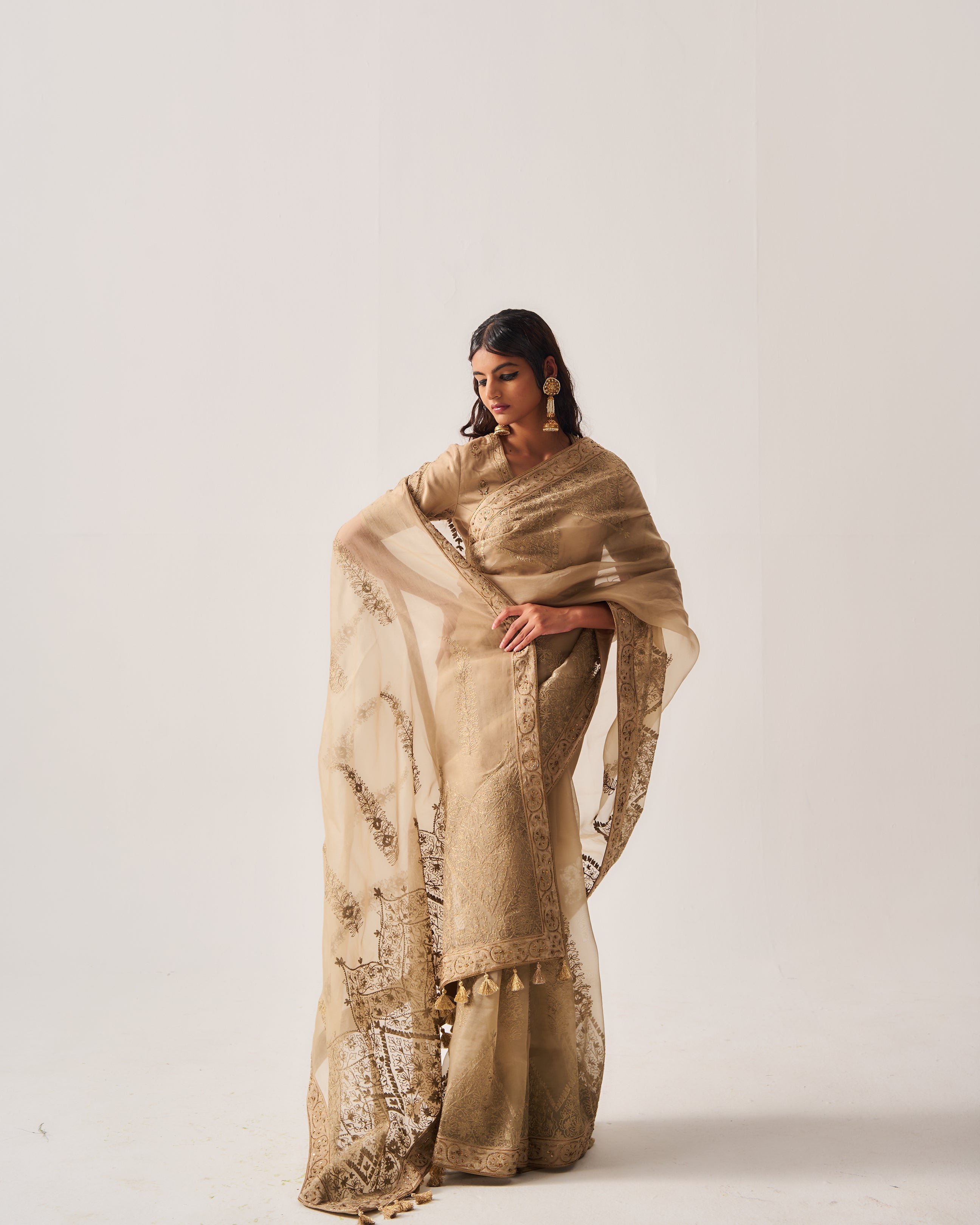 Saree with Stitched Blouse and Belt / Organza Silk / Dark Beige / Paisley Dome / Aari/Hand Embroidery