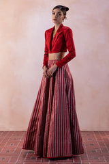 Zari Tissue Silver-Red Stripe Chevron Lehenga with Red Zari Blouse