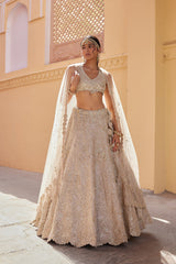 Beige Champagne Embroidered Lehenga