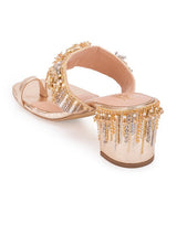 Chandra-heel