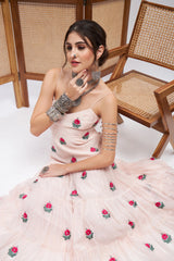 Ishaara Dress