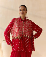 Pavitra-red