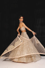 DIAMOND & PAISLEY TULLE MIRROR WORK LEHENGA SET