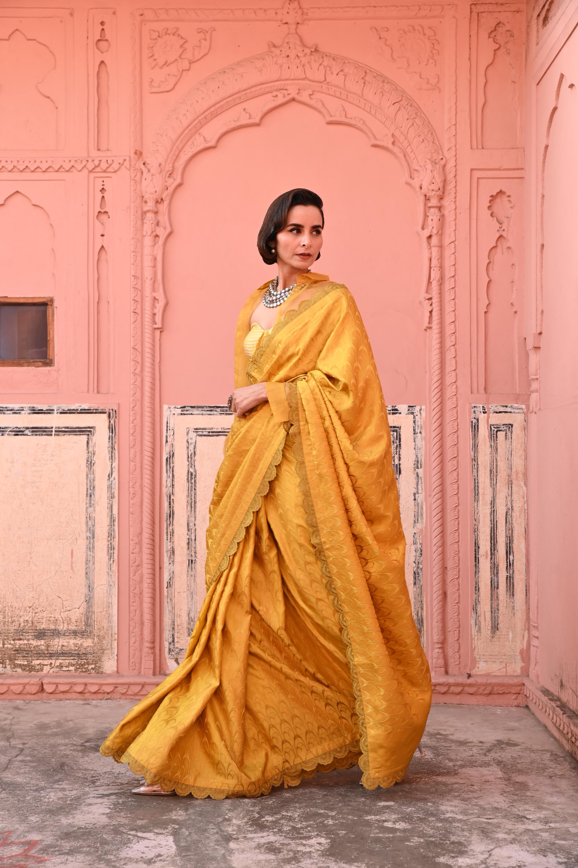 O Haseena Tanchoi Handloom Saree