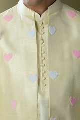 Parrot Green Embroidered Kurta-Jacket Set
