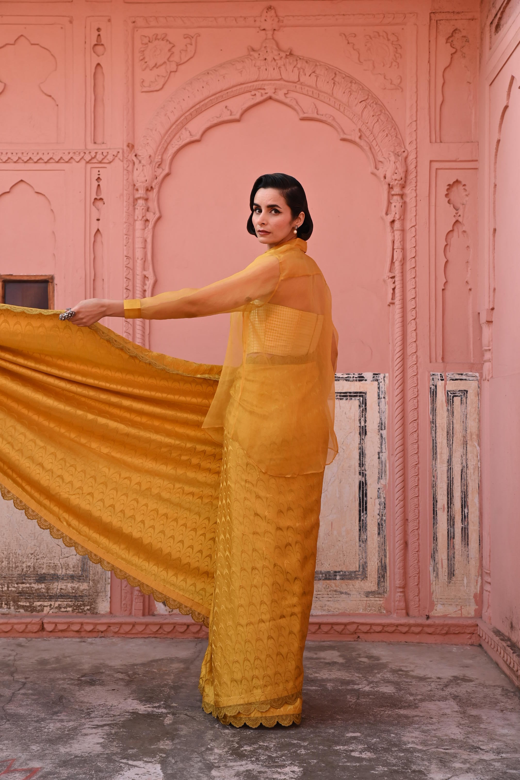 O Haseena Tanchoi Handloom Saree