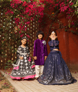 Blue Embroidered Lehenga Choli Set