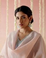 Sky Blossom Tissue Kurta with 
Narrow Pants & Dupatta - Set of 30
