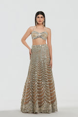 Mirror work , zari , gota