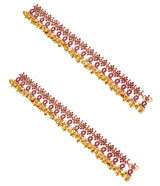 Jhanak Anklets
