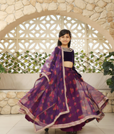 Purple Velvet Choli with Printed Lehenga