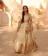 Golden Embroidered Lehenga Choli