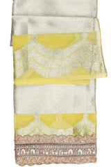 Pastel Multicolor Pure Tissue Silk banarasi handloom Saree