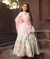 Off white Embroidered Choli with Lehenga