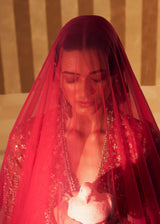 Tabeer Lehenga set