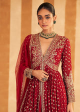Pareesa Anarkali set