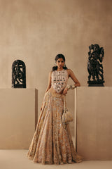 MULTICOLOUR MIRRORWORK LEHENGA