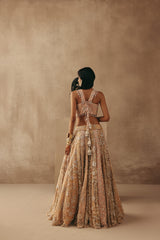 MULTICOLOUR MIRRORWORK LEHENGA