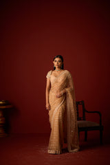 Net Mirrorwork Embellished Saree With Mirrorwork Beadwork Blouse