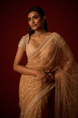 Net Mirrorwork Embellished Saree With Mirrorwork Beadwork Blouse