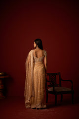 Net Mirrorwork Embellished Saree With Mirrorwork Beadwork Blouse