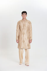 Beige Radiant Kurta Set