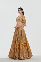 Mirror work, zari , gota
