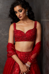 Dark Red Sequins Lehenga Set
