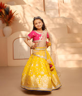 Hot Pink Brocade Choli lehenga Set