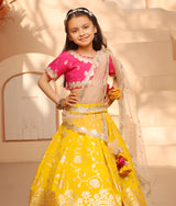 Hot Pink Brocade Choli lehenga Set