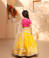 Hot Pink Brocade Choli lehenga Set