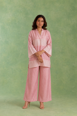 Pink Panel Chanderi Co-ord Set