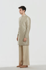 Sherwani -Tissue and Kurta -Heavy chanderi and Pant - Cotton twill