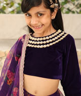 Purple Velvet Choli with Printed Lehenga