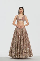 Mirror work , zari , Gota