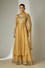 Gold Mirror Anarkali Set