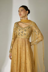 Gold Mirror Anarkali Set