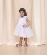 Baby Pink Butterfly Frock